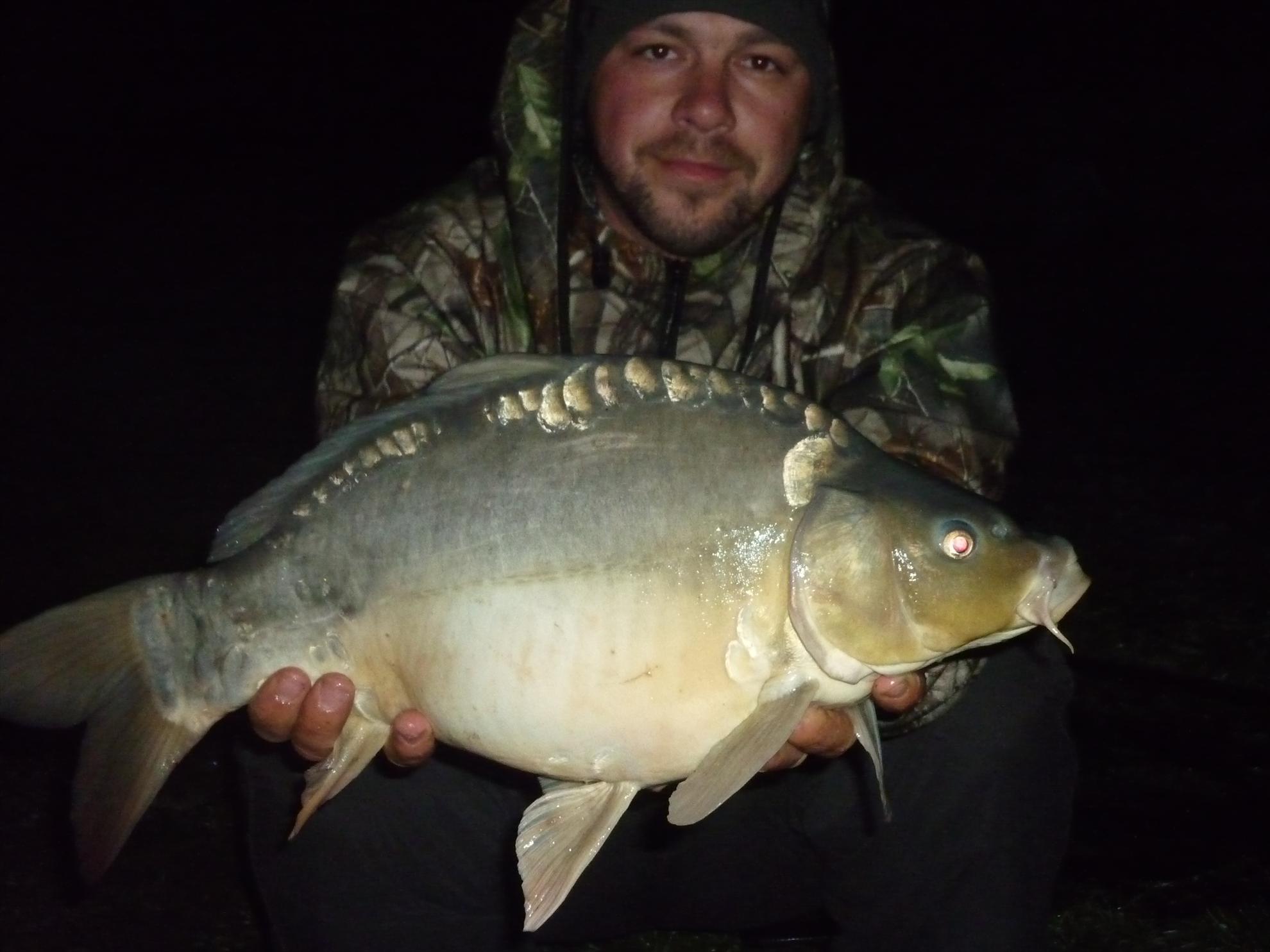 Stejeris 2011 - p1010990.JPG